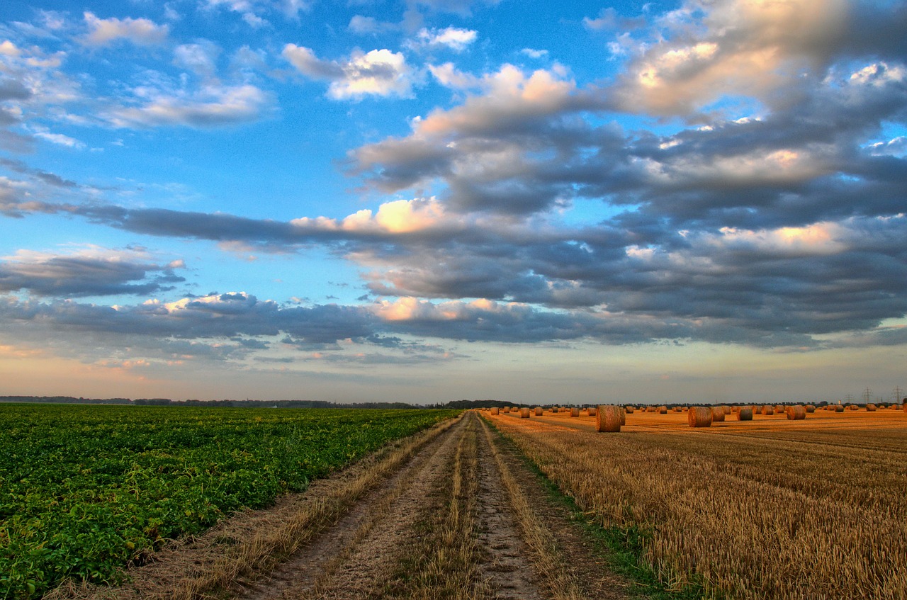 FACISC avalia destaques no agronegócio catarinense