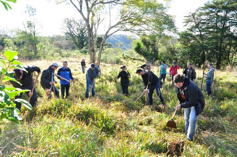 Núcleo jovem de São Miguel do Oeste realiza plantio de árvores do projeto Carbono Zero