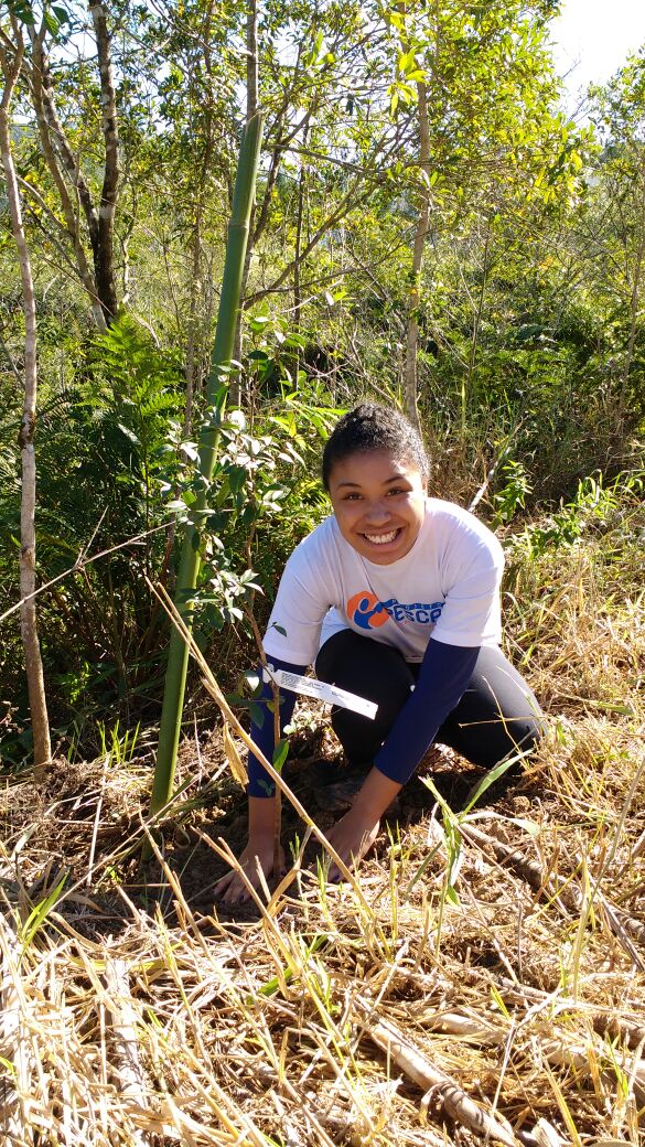 Jovens do Projeto Pescar, da Aemflo, plantam mudas de árvores no Jardim Botânico de São José
