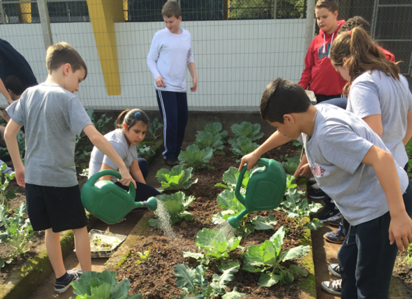 Estudantes Lauro Müller fazem projeto de energias renováveis com apoio do Núcleo da Acib