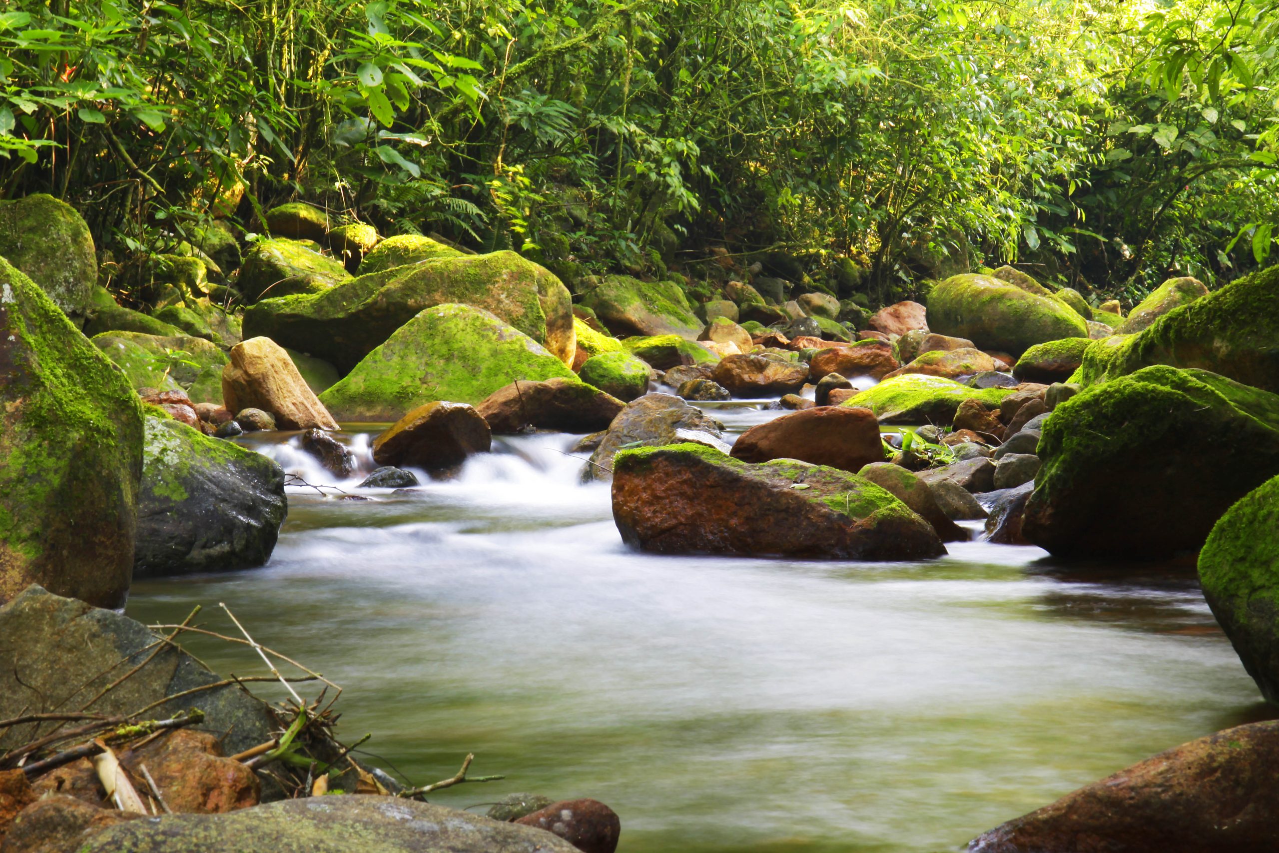 Núcleo de Meio Ambiente e Companhia Águas de Joinville realizam fórum sobre segurança hídrica