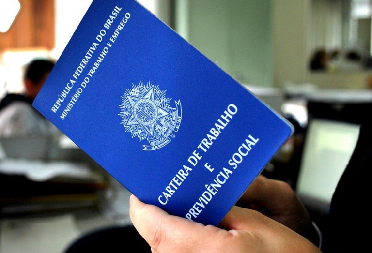 Santa Catarina registra recorde na empregabilidade de estrangeiros e lidera a geração de vagas no país Santa Catarina registra recorde na empregabilidade de estrangeiros e lidera a geração de vagas no país
