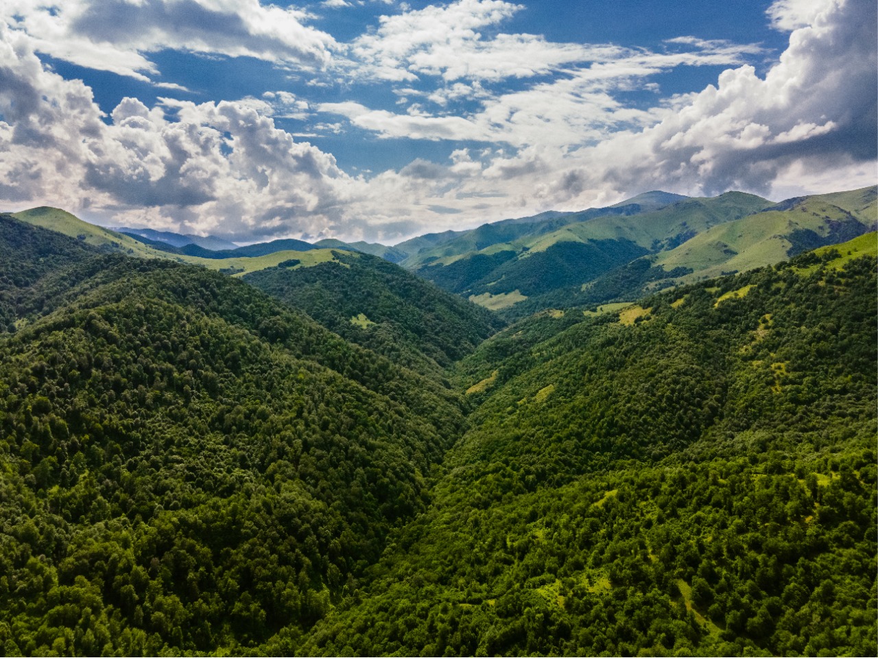 FACISC comemora alterações no Código Ambiental catarinense FACISC comemora alterações no Código Ambiental catarinense
