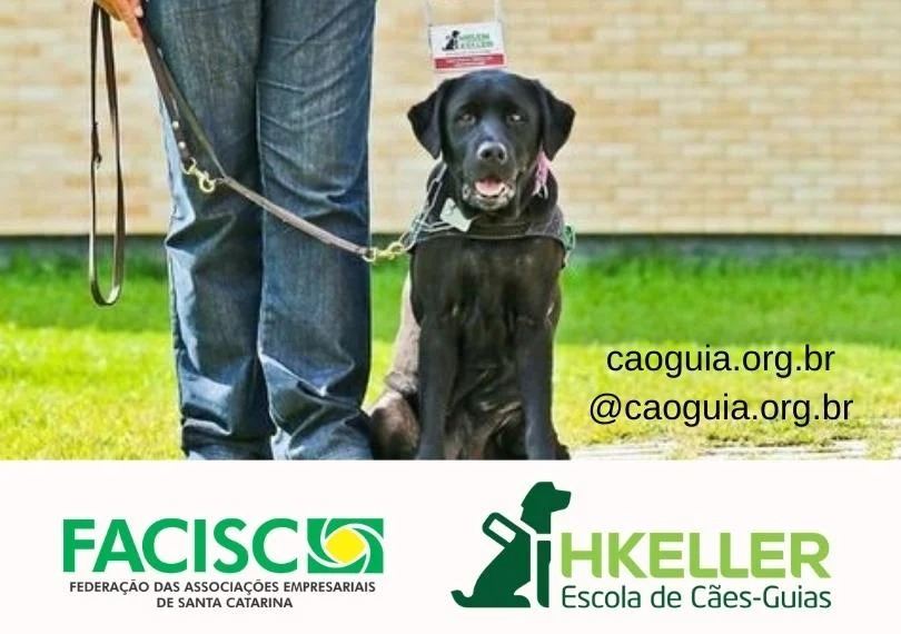 Facisc apoia projeto para formação de cães-guias