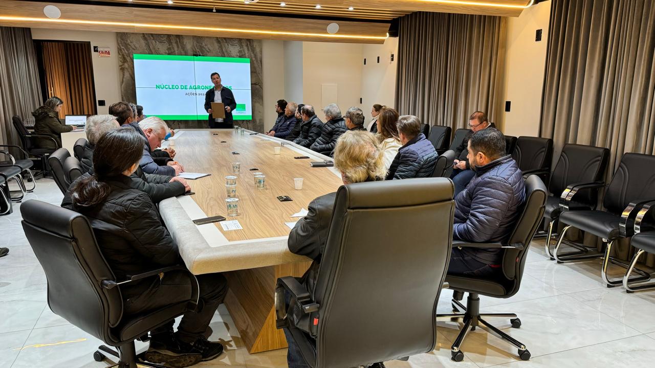 Núcleo de Agronegócios apresenta as ações realizadas e desafios do setor para diretoria da ACIL