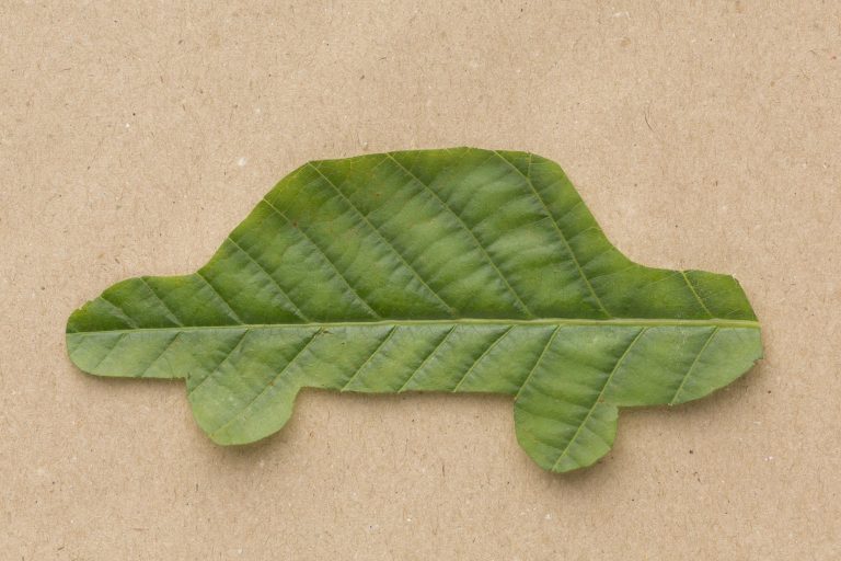 car-leaf-shape