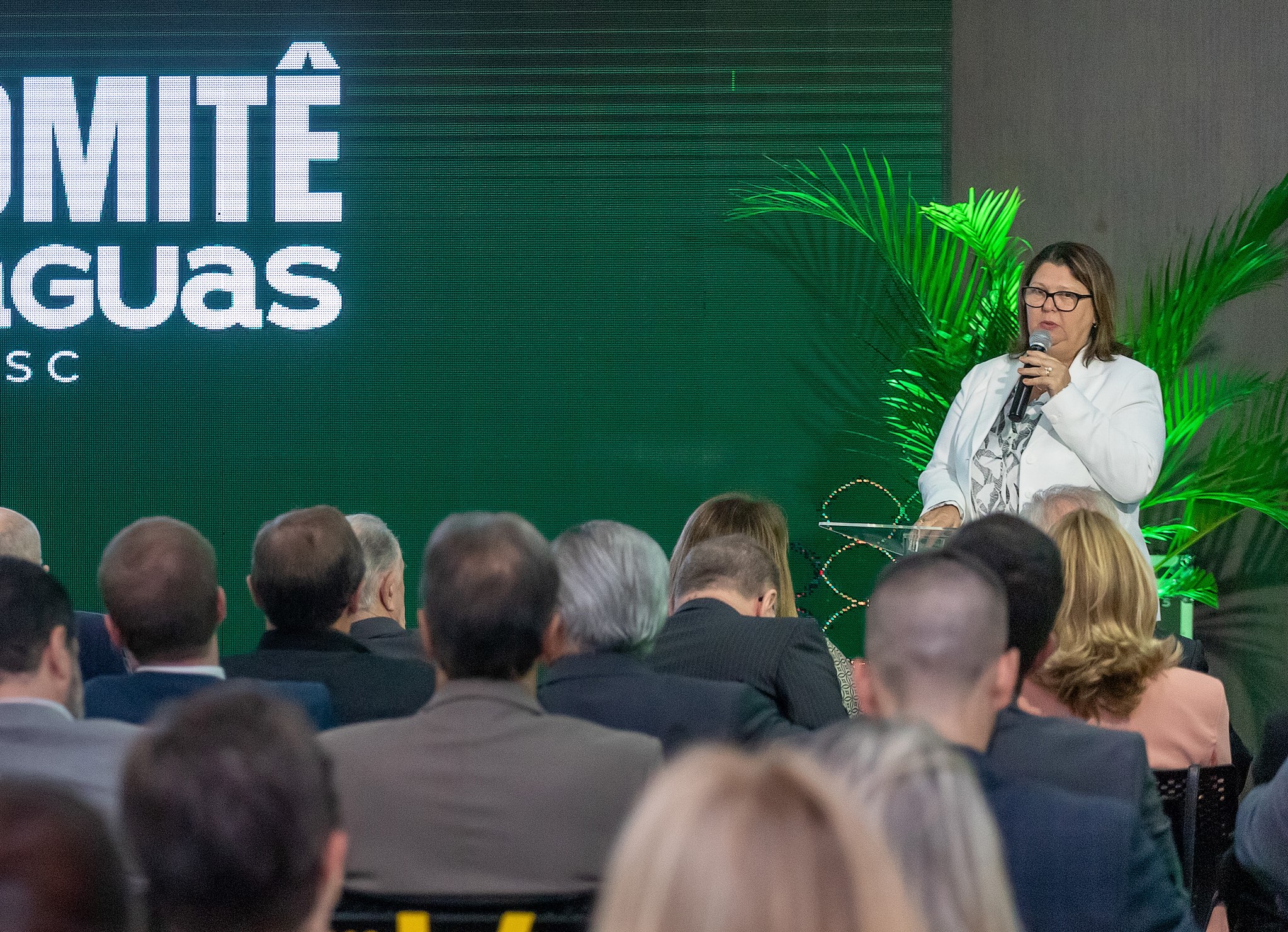 Empresária Rita de Cássia Conti, de Brusque, assume interinamente presidência da Facisc