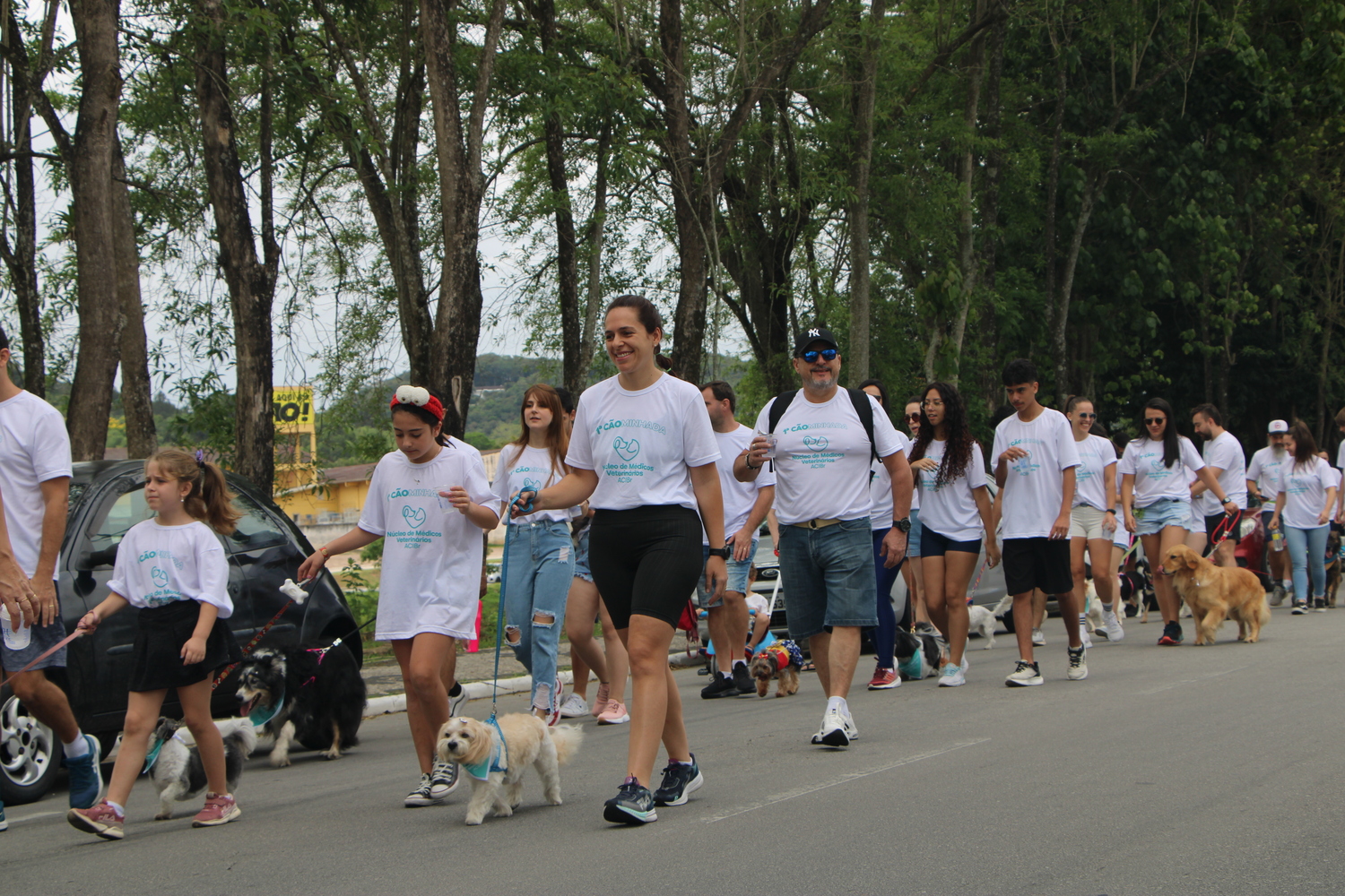 1ª Cãominhada promove conscientização sobre adoção em Brusque