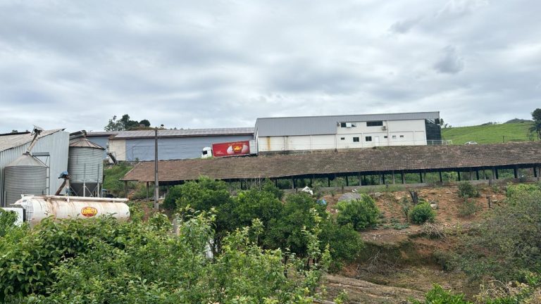 CodornaFtoHorizental2