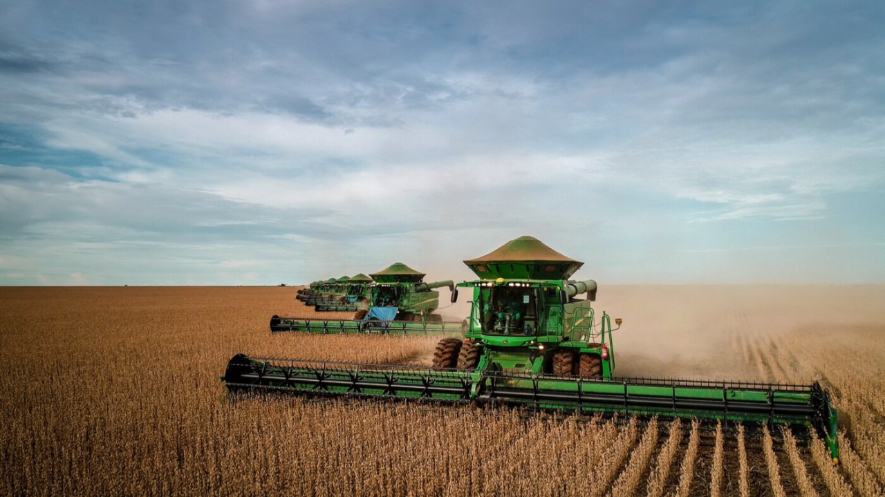 SC perde espaço na produção agrícola nacional em 2024