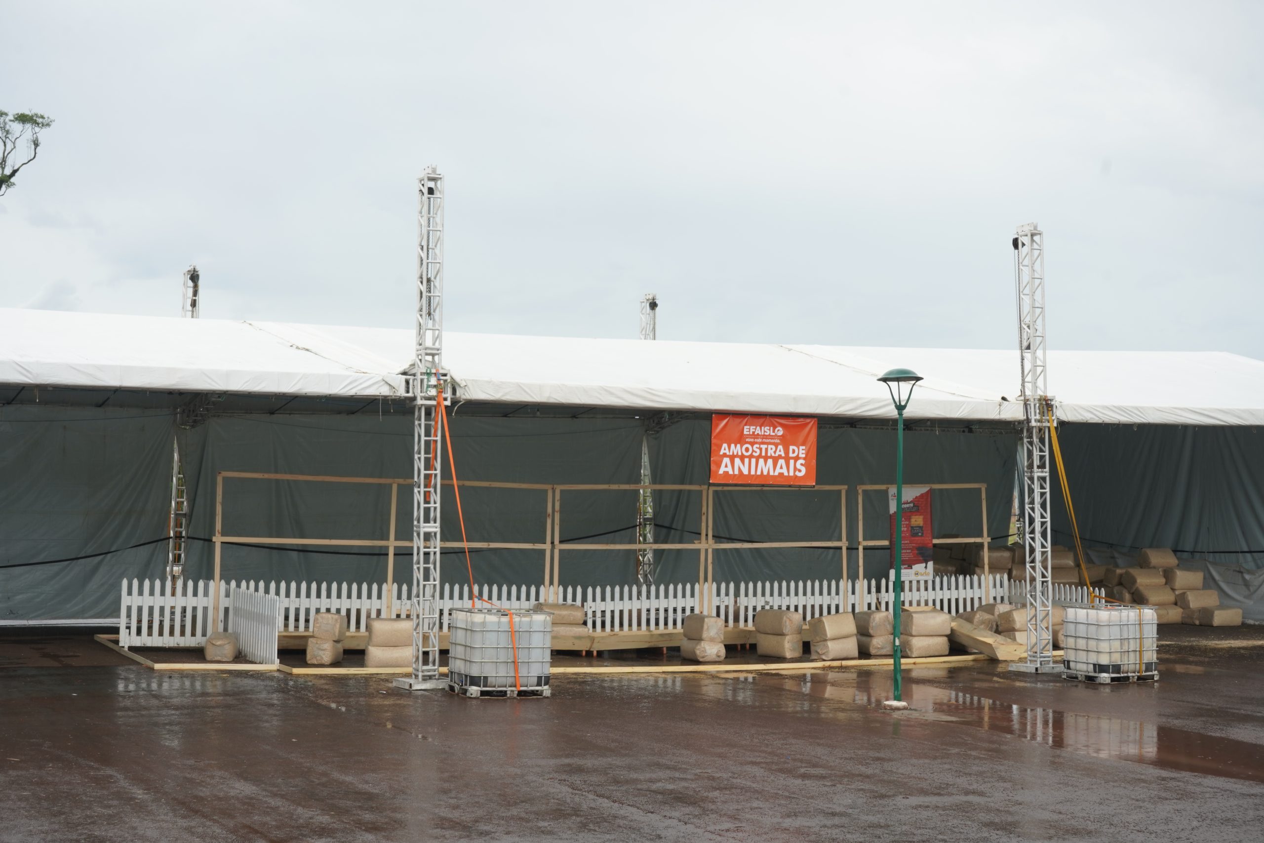 Oitava Efaislo vai valorizar genética e reforçar a força do agronegócio comexposição de animais de leite e corte