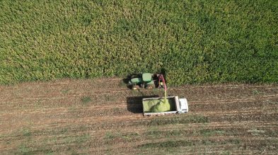 Reforma Tributária exigirá CNPJ para produtores rurais a partir de 2026 Reforma Tributária exigirá CNPJ para produtores rurais a partir de 2026