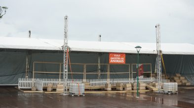 Oitava Efaislo vai valorizar genética e reforçar a força do agronegócio comexposição de animais de leite e corte